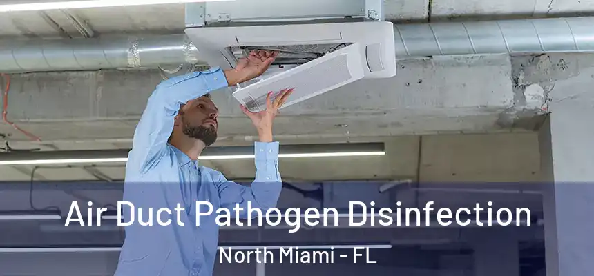 Air Duct Pathogen Disinfection North Miami - FL