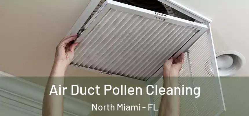 Air Duct Pollen Cleaning North Miami - FL