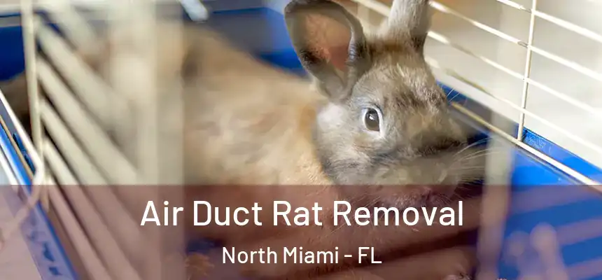 Air Duct Rat Removal North Miami - FL