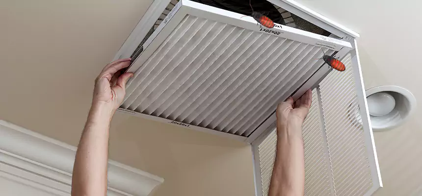 Preventive Cockroach-Proofing for Ducts in North Miami