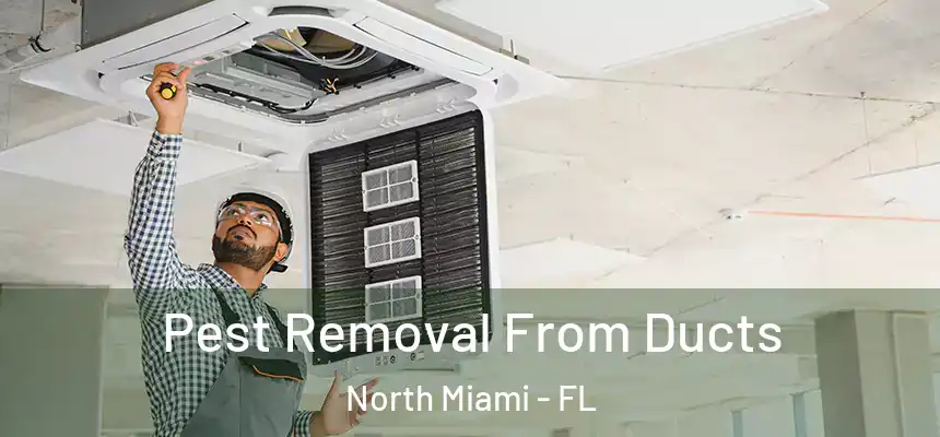 Pest Removal From Ducts North Miami - FL