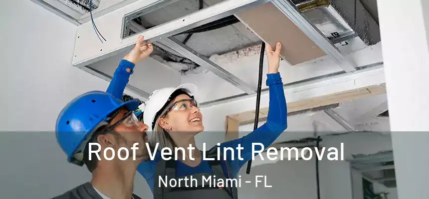 Roof Vent Lint Removal North Miami - FL