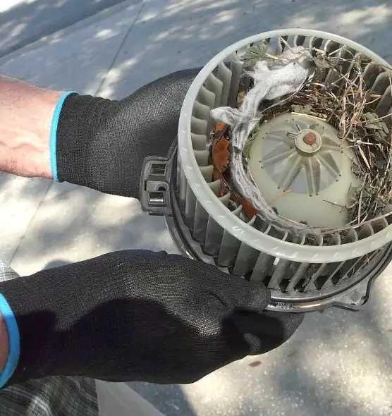 About Air Duct Mice Removal in North Miami, FL