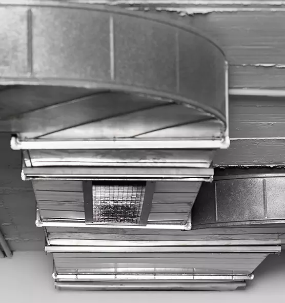 Professional Air Duct Pet Hair Removal in North Miami, FL