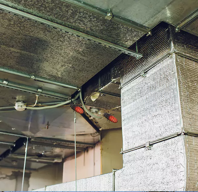 Why Homeowners & Businesses Trust Us in North Miami, FL?