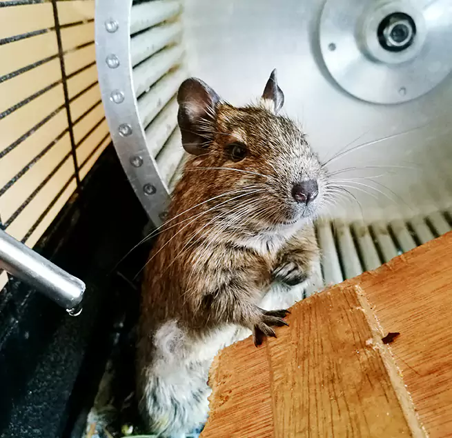 Why Homeowners & Businesses Trust Us North Miami, FL