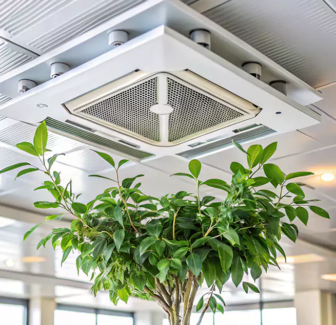 Why Homeowners & Businesses Trust Us in North Miami, FL?